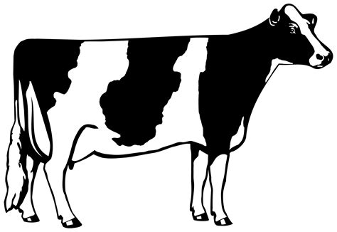 Clipart black and white cow - I love old movies. My wife... does not. This is a sticking point for us when it comes to deciding what we want to watch together; on the rare occasions she says we can watch whatev...